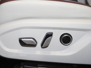 2021EcoBoost 225 I 6 {{