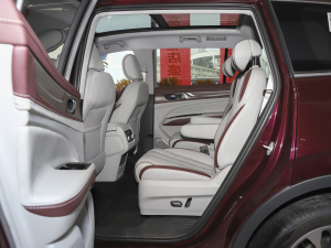 2021EcoBoost 225 I 6 ſg