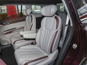 2021EcoBoost 225 I 6 g