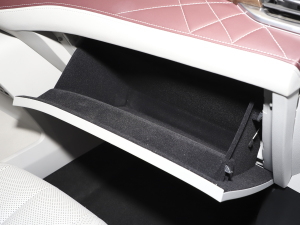 2021EcoBoost 225 I 6 