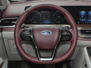 2021EcoBoost 225 I 6 P