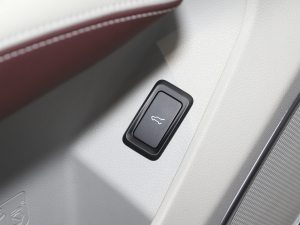 2021EcoBoost 225 I 6 g