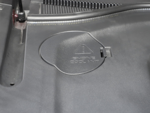 2021EcoBoost 225 I 6 