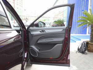 2021EcoBoost 225 KI 5 g