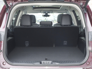 2021EcoBoost 225 KI 5 g