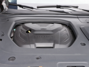 2021EcoBoost 225 KI(lng) 5 