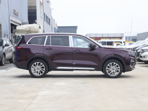 2021EcoBoost 225 KI 5 w^