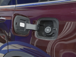 2021EcoBoost 225 I(lng)Plus 7 w