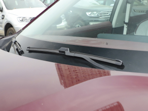 2021EcoBoost 225 I(lng)Plus 7 ˢ