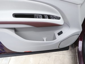 2021EcoBoost 225 IPlus 7 g