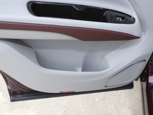 2021EcoBoost 225 IPlus 7 g