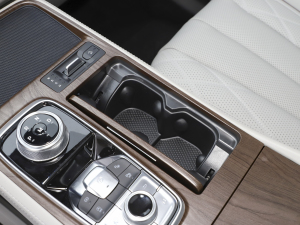 2021EcoBoost 225 IPlus 7 g