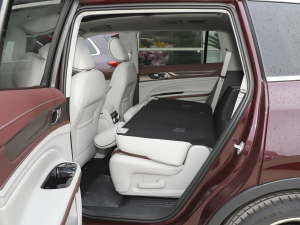 2021EcoBoost 225 IPlus 7 ηŵ