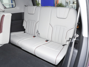 2021EcoBoost 225 IPlus 7 g