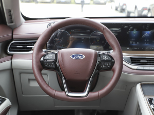 2021EcoBoost 225 I(lng)Plus 7 P(pn)