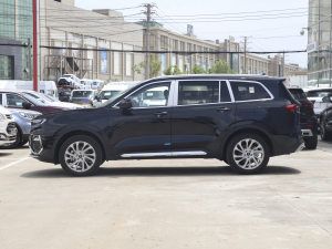 2021EcoBoost 225 KI(lng) 7 (c)