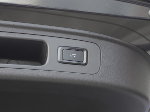 2021EcoBoost 225 KI(lng) 7 g