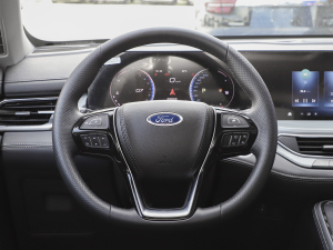 2021EcoBoost 225 KI(lng) 7 P