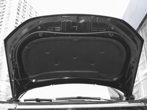 2021EcoBoost 225 KI(lng) 7 