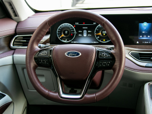 2021EcoBoost 225 IPlus 72/2/3 P