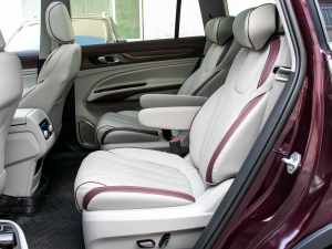 2021EcoBoost 225 IPlus 72/2/3 ſg