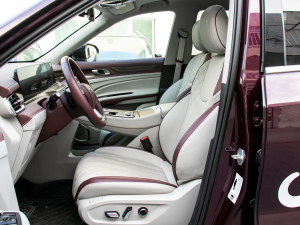 2021EcoBoost 225 IPlus 72/2/3 ǰſg