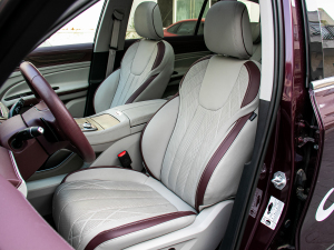 2021EcoBoost 225 IPlus 72/2/3 {