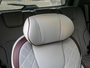 2021EcoBoost 225 IPlus 72/2/3 g