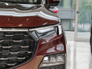 2021EcoBoost 225 I 72/2/3 ^