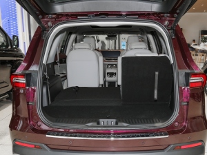 2021EcoBoost 225 I 72/2/3 g