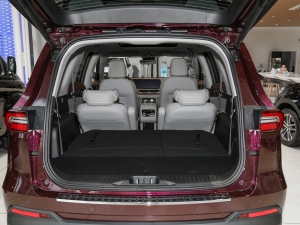 2021EcoBoost 225 I 72/2/3 g