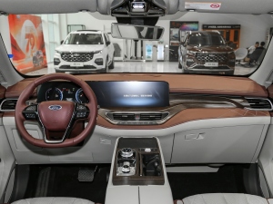 2021EcoBoost 225 I(lng) 72/2/3 п_