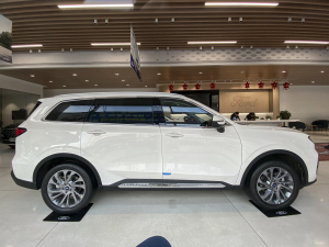 2021EcoBoost 225 I(lng) 7 (c)ң