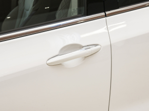 2021EcoBoost 225 I 7 {T