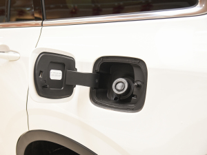 2021EcoBoost 225 I 7 w