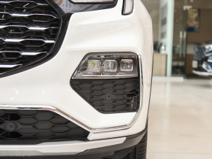 2021EcoBoost 225 I(lng) 7 (x)(ji)^