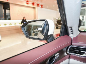 2021EcoBoost 225 I(lng) 7 (x)(ji)^