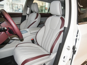 2021EcoBoost 225 I(lng) 7 {