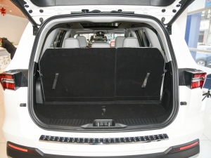 2021EcoBoost 225 I(lng) 7 g