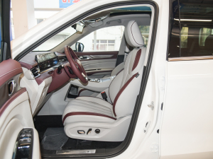 2021EcoBoost 225 I(lng) 7 ǰſg