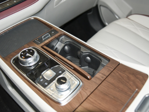 2021EcoBoost 225 I 7 ǰű