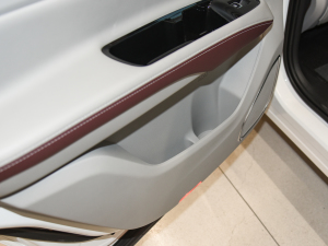 2021EcoBoost 225 I 7 Tg