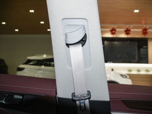 2021EcoBoost 225 I 7 g