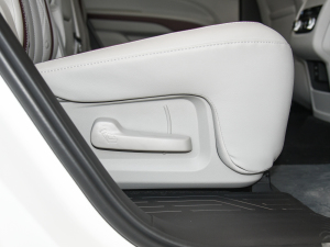 2021EcoBoost 225 I 7 g