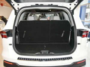 2021EcoBoost 225 I 7 g