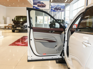 2021EcoBoost 225 I(lng) 7 {λ܇T