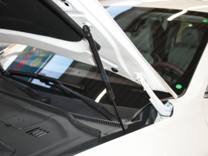 2021EcoBoost 225 I(lng) 7 