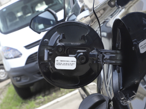 2021S EcoBoost 145 CVT 48VI(lng)p (x)(ji)^