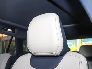 2022EcoBoost 170 I(lng)PLUS g