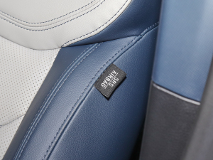 2022EcoBoost 170 IPLUS п؅^